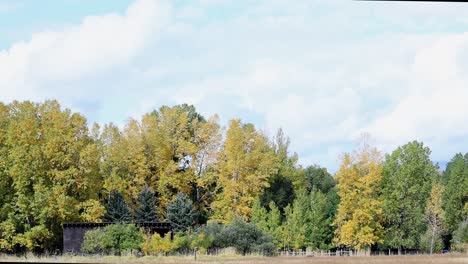 Herbst-Baum-Landschaft-Herbstfarben-Canon-Rk