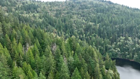 Umlaufende-Luftaufnahme-Der-Wälder-Rund-Um-Den-Duft