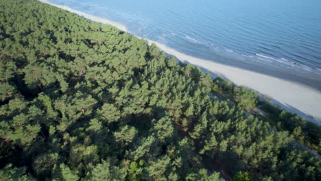 Forested-Landscape-On-The-Baltic-Coast-Near-Krynica