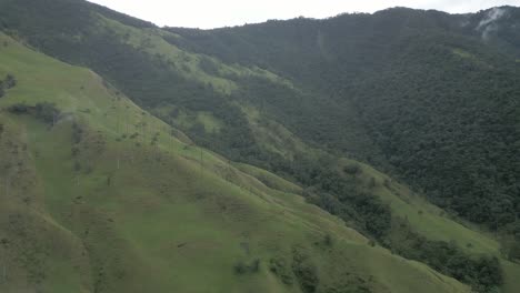 Dron-Panorámico-Aéreo-Sobrevolar-El-Valle-Del-Cocora-Colombiano