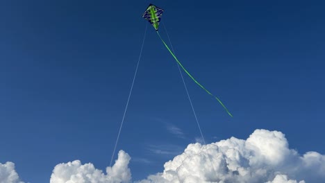 Cometa-Verde-Con-Cola-Larga-Volando-En-Azul