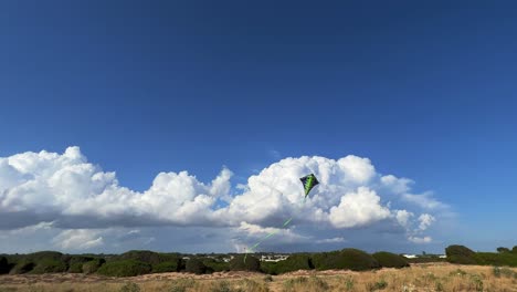 Green-kite-with-long-tail-flying-twirling-in