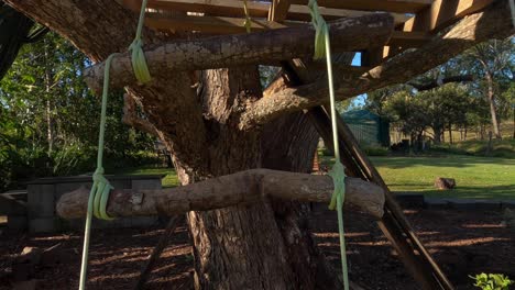 POV-up-rope-ladder-to-basic-DIY-wooden