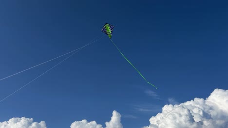 Low-angle-view-of-green-kite-with-long