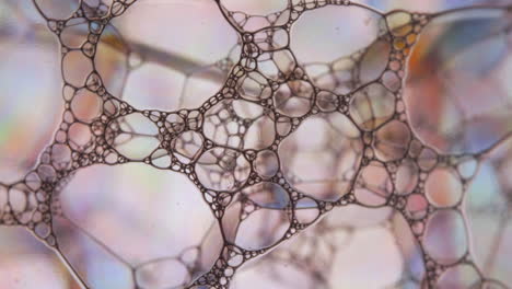 Macro-Soapy-water-surface-bubbles-reflect-light-causing