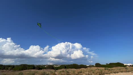 Green-kite-with-long-tail-flying-twirling-and