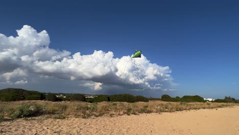 Green-kite-with-long-tail-flying-in-blue