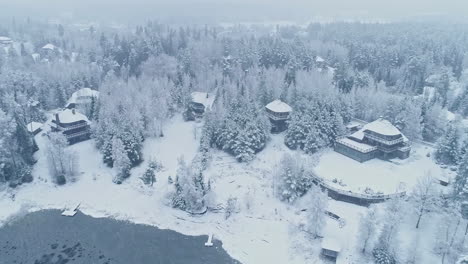 Luftbild-Des-Kalten-Wintertages-Und-Weiß