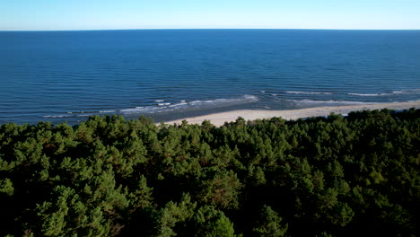 Aerial-flight-over-dense-forest-towards-sandy-beach