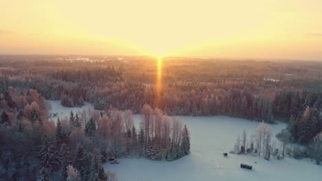 Sunset-Over-Snowy-Coniferous-Forest-In-The-Countryside