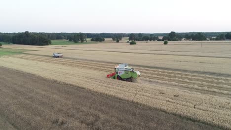 aerial-harvest-machine-tractor-working-in-corn-grain