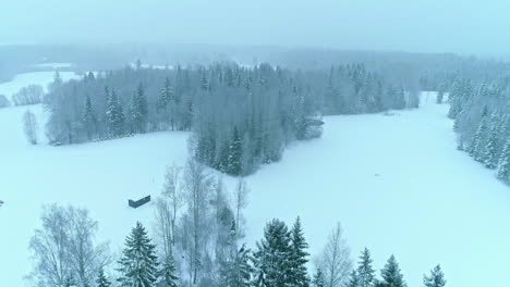 Winterliche-Atmosphäre-In-Abgelegenem-Wald-Mit-Thermoholzhütte
