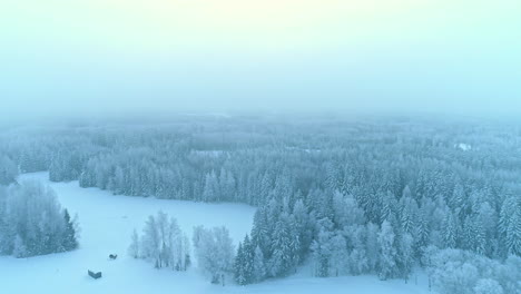 Aerial-sideways-on-snowy-landscape-and-coniferous-forest