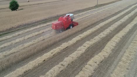 drone-following-a-red-harvester-tractor-working-in