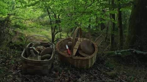 Mushroom-Boletus-In-Two-Wooden-Wicker-Basket-Placed