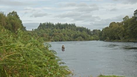 Fly-fishing-on-river-ness-inverness