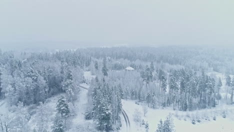 Aerial-shot-of-white-winter-scene-as-snow