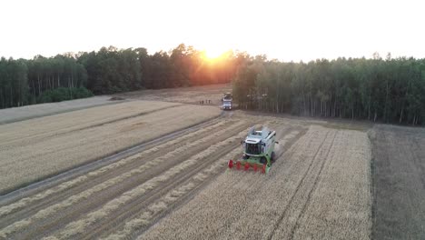 harvesting-machine-aerial-view-at-sunset-farmland-seasonal