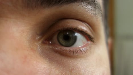Nahaufnahme-Des-Grünen-Männlichen-Auges,-Das-Anstarrt