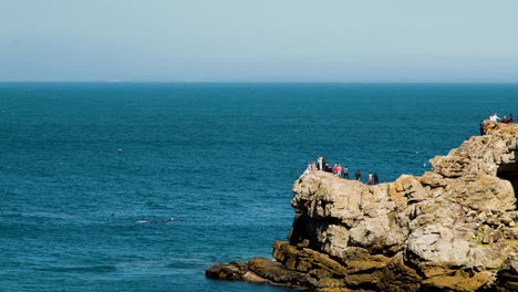 Tourists-on-cliffs-of-Hermanus-watching-whales-close
