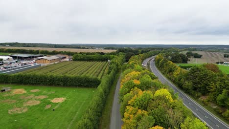 Drone-shot-over-a-green-and-yellow-coloured