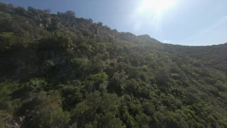 Aerial-flight-up-rugged-forest-slope-to-cliffs
