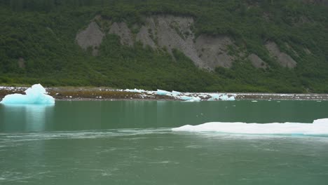 Bloques-De-Hielo-En-La-Costa-De-Un-Glaciar