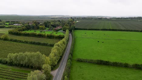 Country-road-in-Canterbury-Nackington-Road-leading-away