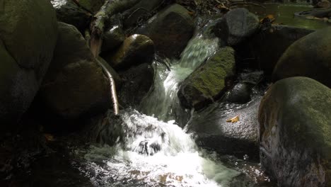 Nahaufnahme-Eines-Kleinen-Wasserfalls-Im-Wald