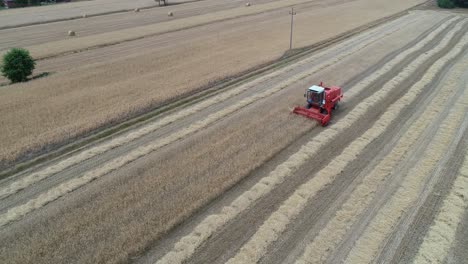 Aerial-view-of-Red-Combine-harvester-collects-wheat