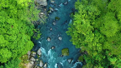 Aerial-top-down-dolly-over-picturesque-clear-river