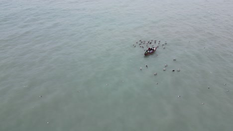 Static-aerial-drone-shot-of-a-boat-with