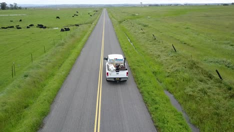 Camión-Viaja-Por-Camino-Rural