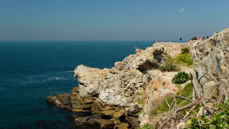 Rugged-Hermanus-sea-cliffs-on-coast-with-seagulls