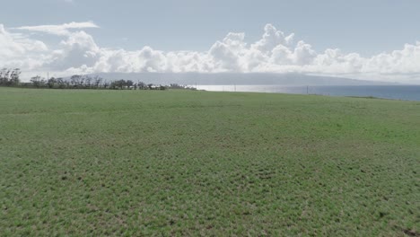 Maui-County-Landwirtschaftliches-Ackerland-Bereich-Weideland-Weideland