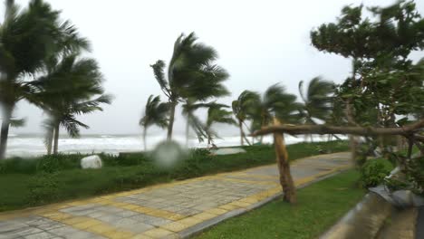 Broken-Trees-Heavy-Rainfall-Strong-Wind-Rough-Sea