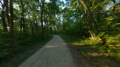 biking-run-under-tree-canopy-forest-dirt-gravel