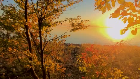 POV-Golden-Hour-Fall-Sunset-Walking-Through-The