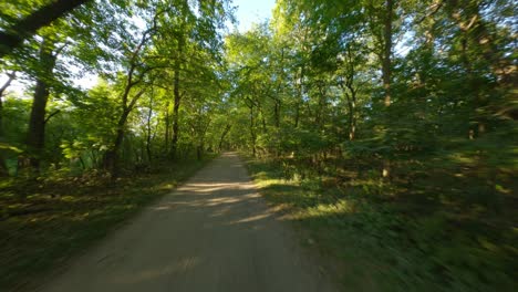 Radweg-Unter-Baumkronen-Wald-Schmutz-Schotter