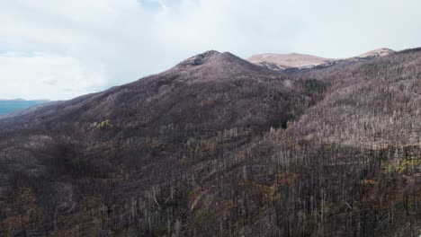 Aerial-video-of-aftermath-of-Cameron-Peak-forest
