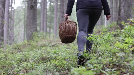 Female-hike-on-forest-path-holding-basket-for