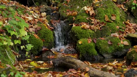 Tiny-Water-Stream-Running-Down-Moss-Covered-Rocks