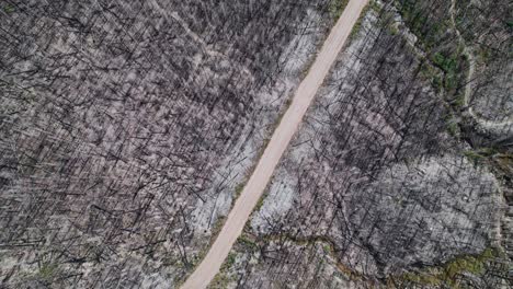 Aerial-flight-along-a-dirt-road-surrounded-by