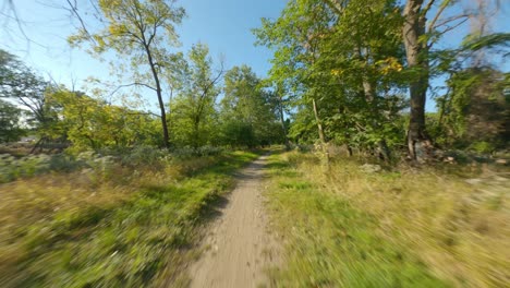 single-track-dirt-gravel-path-biking-and-run