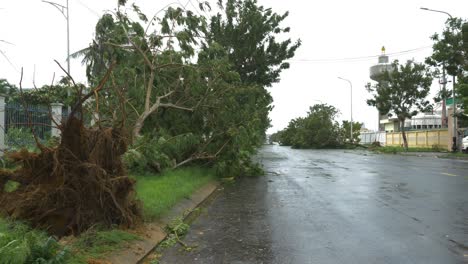Unrooted-Tree-by-Wet-Road-Consequence-and-Damage