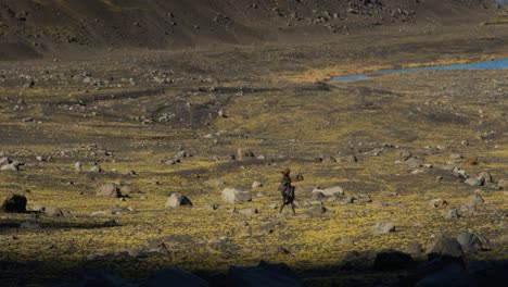 Toma-Lejana-De-Una-Niña-Caminando-Hacia-Un-Río-En-Un-Campo-De-Lava-Entre-Rocas-En-Islandia