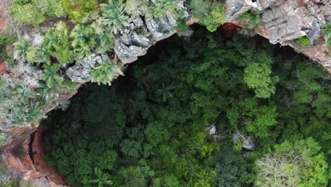 Aerial-drone-top-down-bird's-eye-rising-medium-shot-of-the-Lapa-Doce-cave-entrance-with-a-self-contained-rainforest-below-in-the-Chapada-Diamantina-National-Park-in-Bahia,-northeastern-Brazil