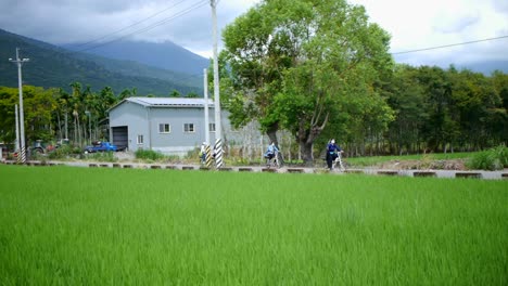 Group-of-4-female-bikers-riding-through-rural-area-with-rice-paddies-and-farm-shed-on-street-and-mountain-in-background,-filmed-from-distance-as-slow-moving-pan