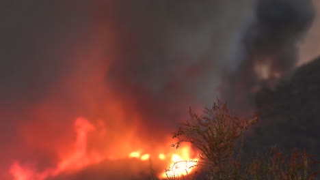 Close-up-shot-of-the-blazing-wildfires-near-Hemet-in-California's-Riverside-County-that-killed-two-people