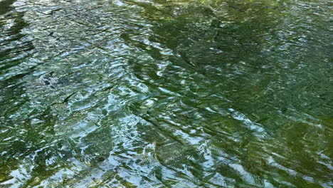 Hintergrund-Des-Klaren,-Grünen-Flusswassers,-Das-Langsam-Fließt